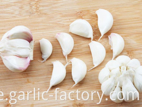 Best quality bulk Fresh Natural Garlic